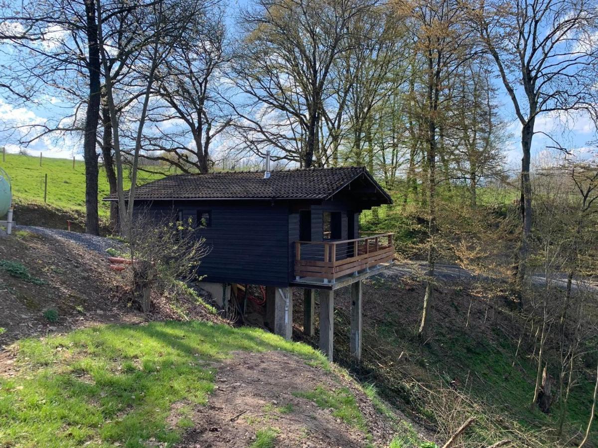 Gites Douillets : Chalet Sur Pilotis Houyet Eksteriør bilde